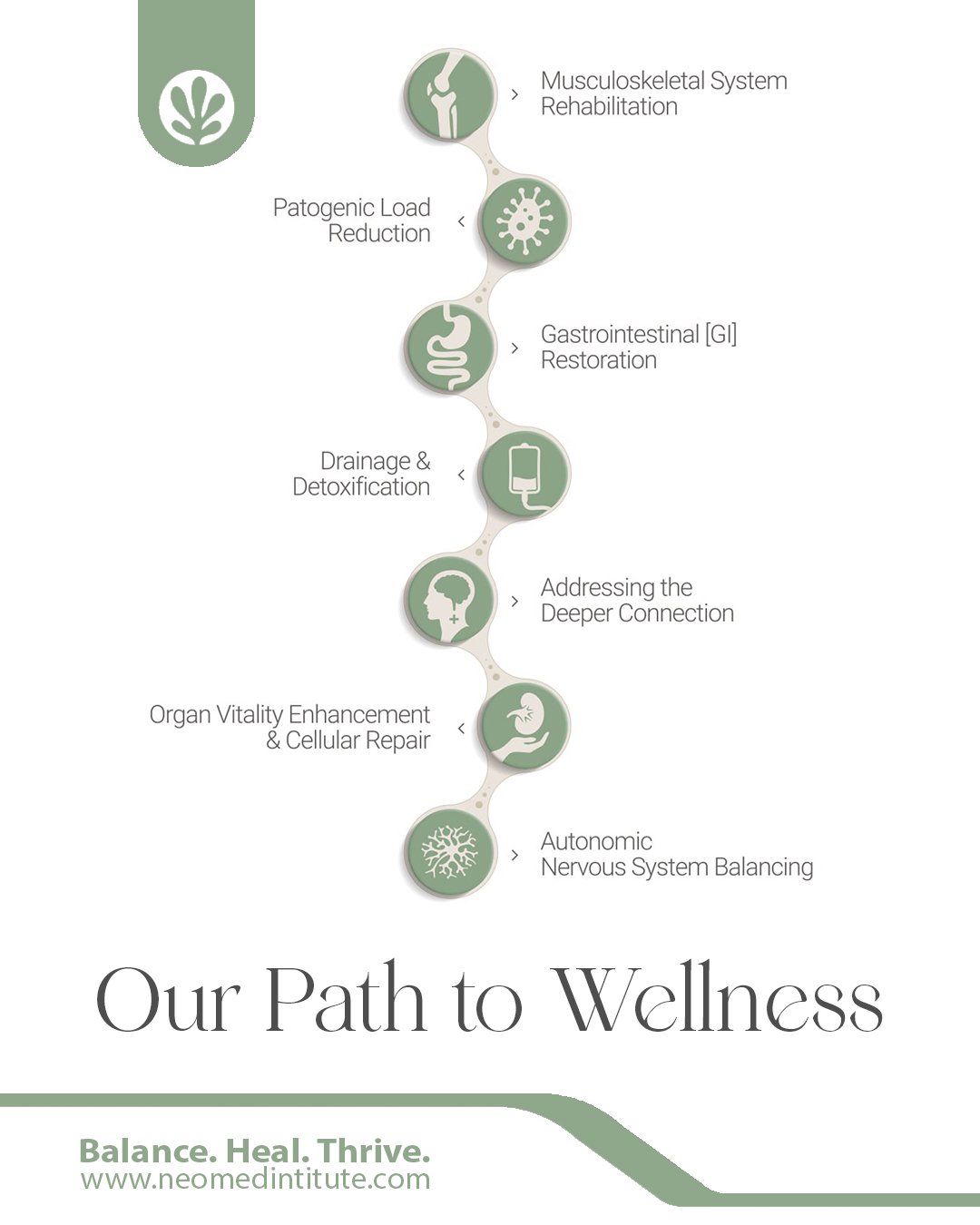 Detox Pathways: The Key to Healing Autoimmune Conditions and Lyme Disease
